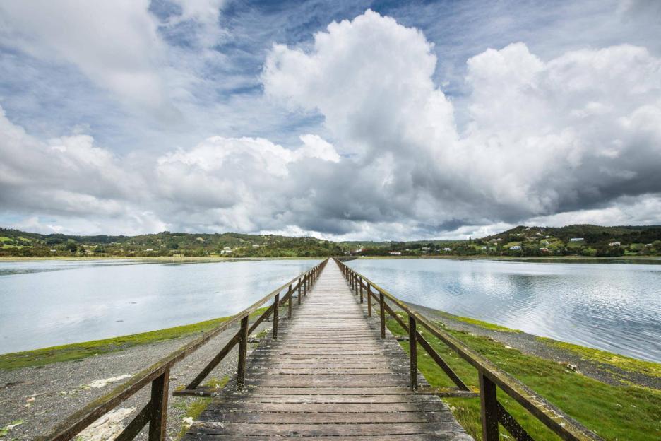 фото img_69aa9db467bb3.jpg