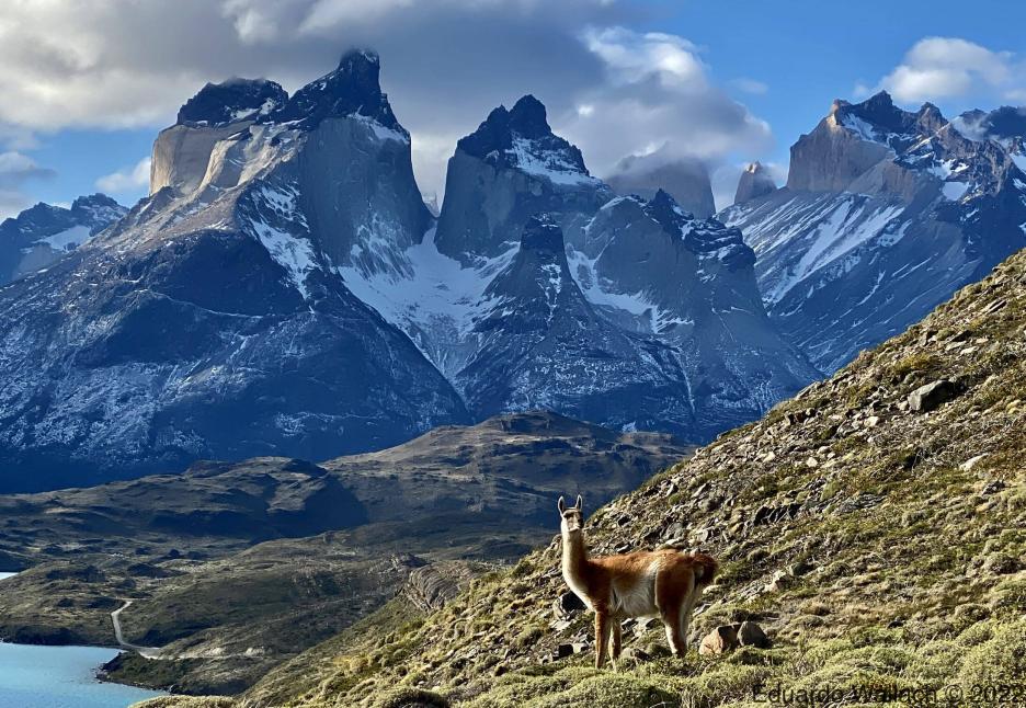 фото img_69aa9dba92cd0.jpg