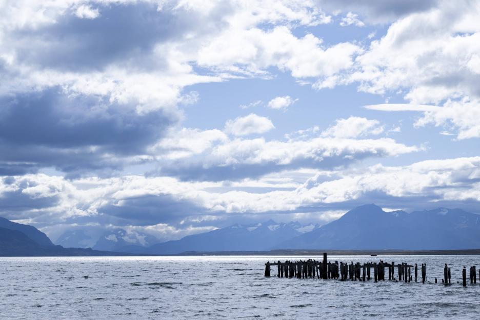 фото img_69aaa0bb0c6d9.jpg