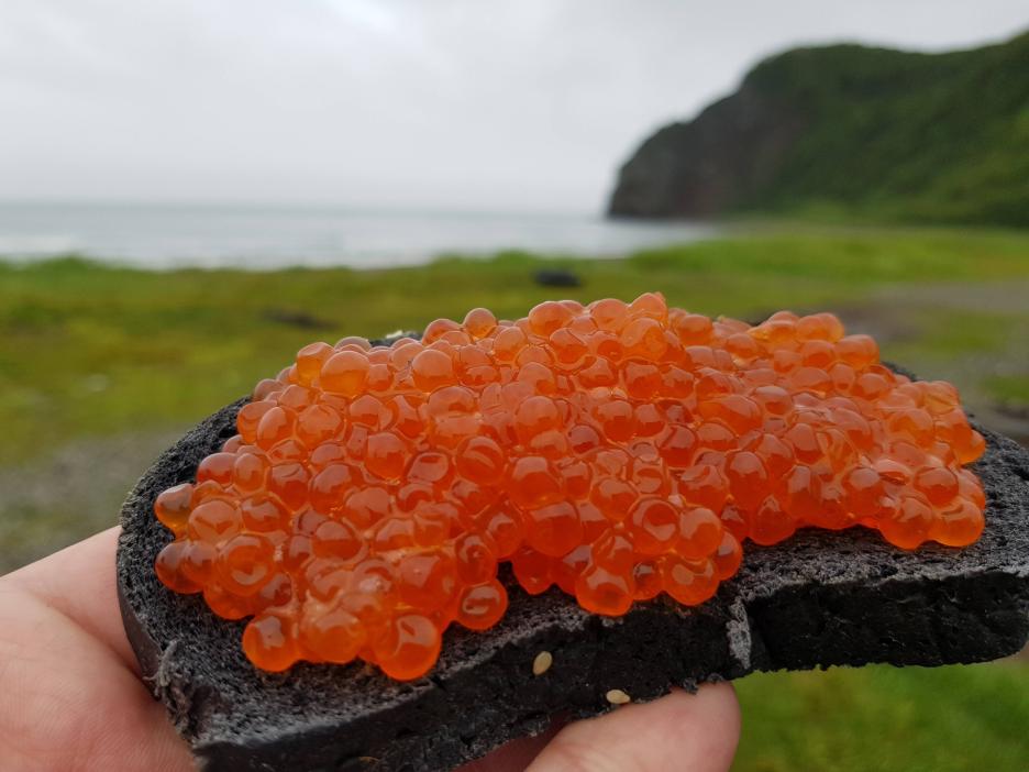 фото img_69afb4038cdbf.jpg