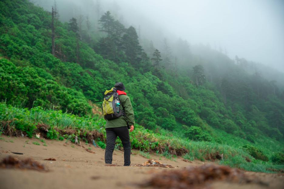 фото img_69afb40b1562f.jpg