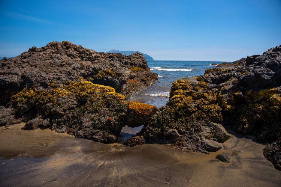 фото img_69afb425ae4c2.jpg