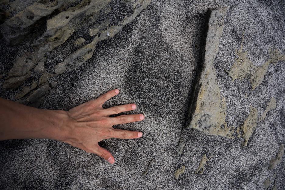 фото img_69afb443db3cd.jpg