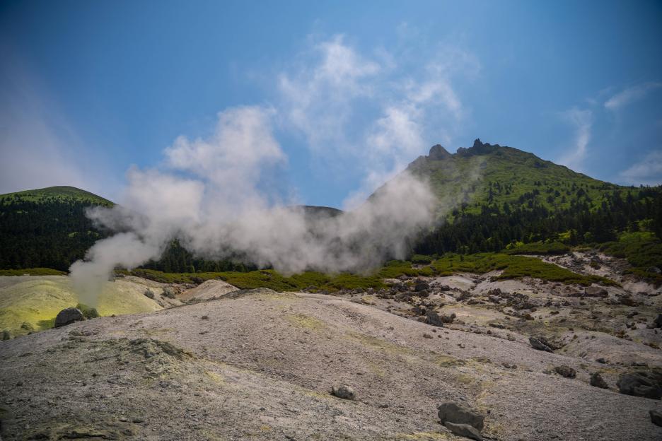 фото img_69afb4529cc5a.jpg