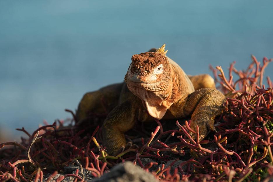 фото img_69b3c4a059b9c.jpg