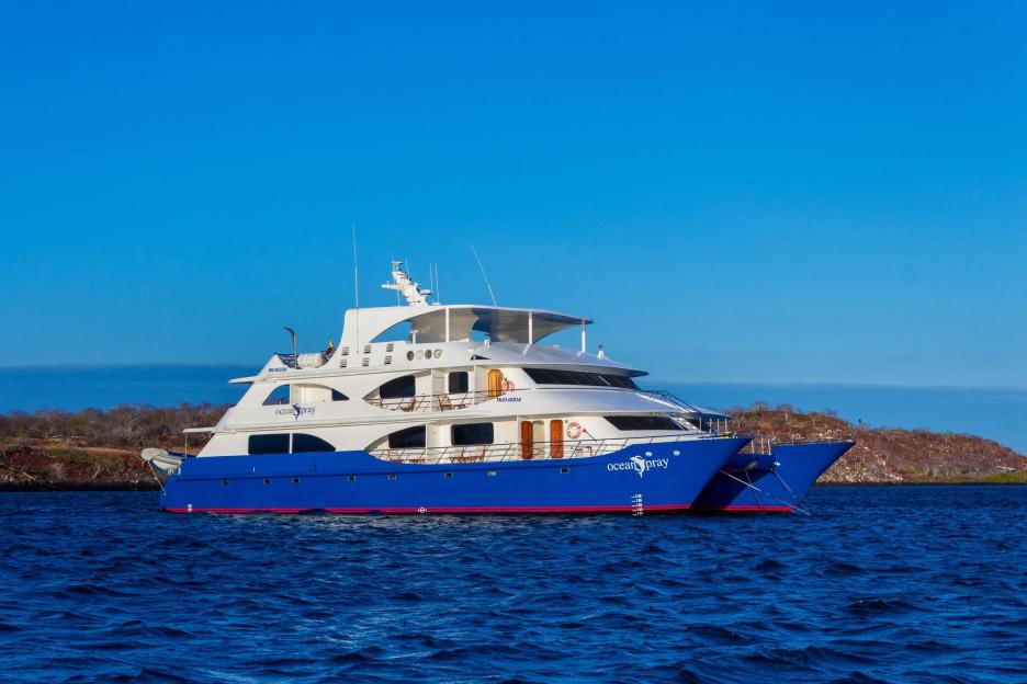 фото img_69b3c4a280383.jpg