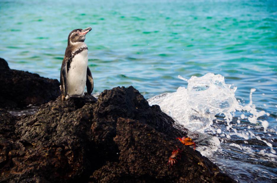 фото img_69b3d9c49536e.jpg