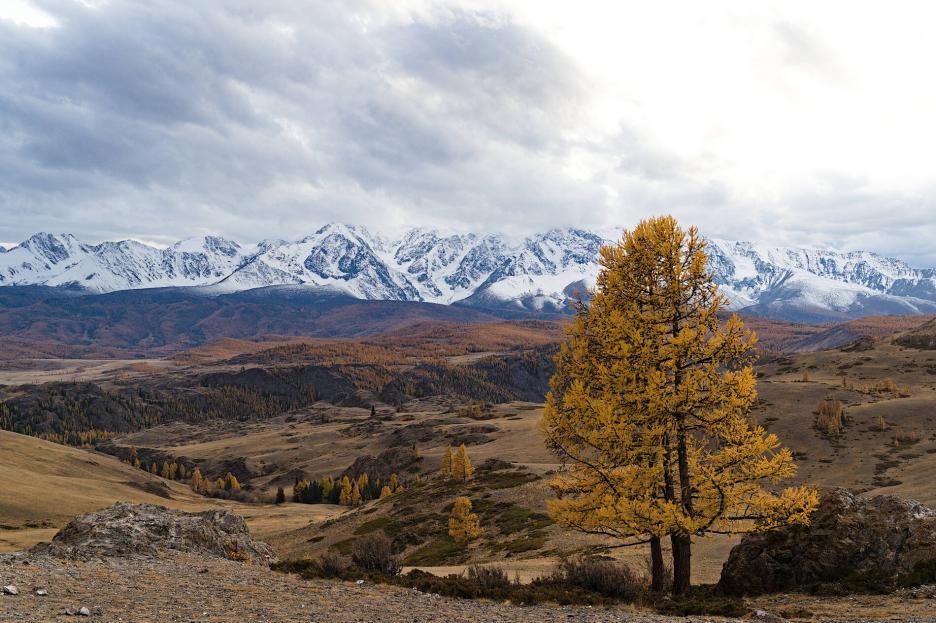 фото img_69b90785d2b3a.jpg