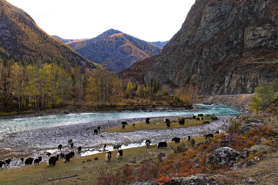 фото img_69b9078906ef7.jpg