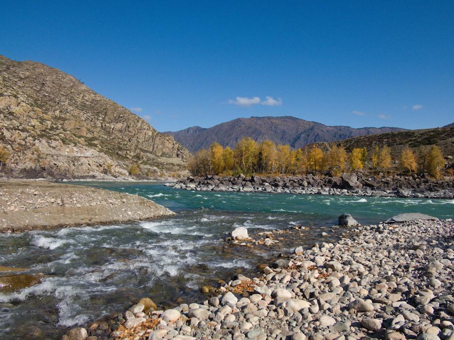 фото img_69b9078ddf05d.jpg