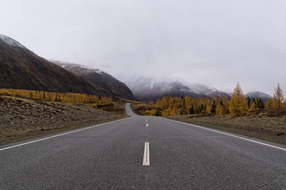 фото img_69b9084e4a23a.jpg