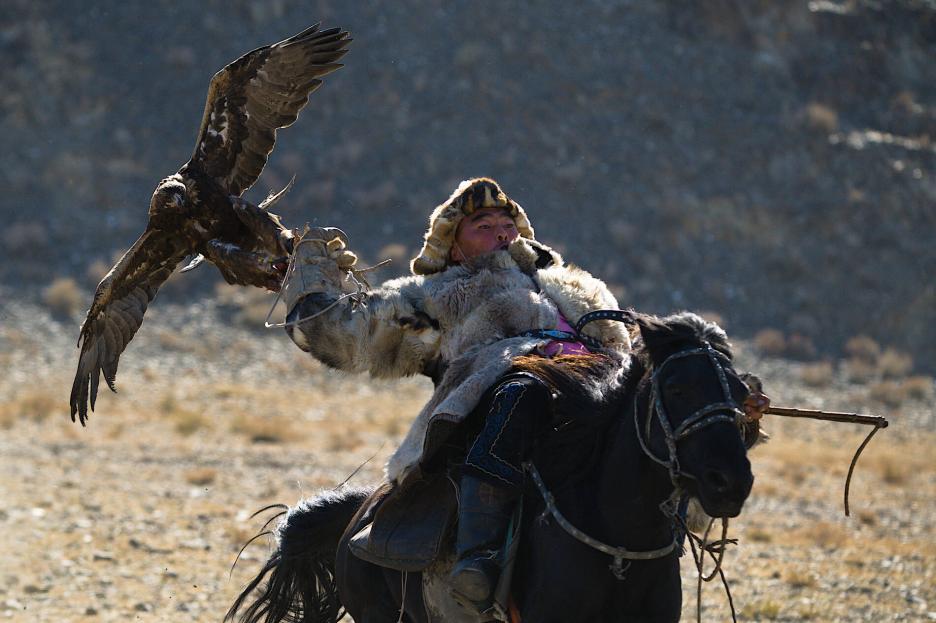 фото img_69b9085915ccf.jpg