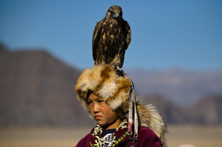 фото img_69b9085d677b0.jpg