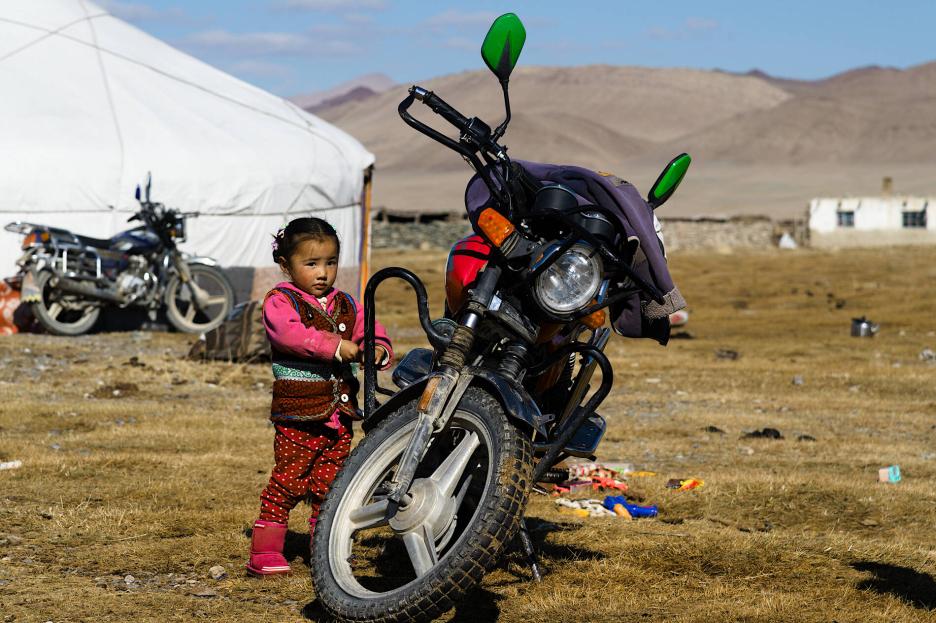 фото img_69b9086b8a9c2.jpg