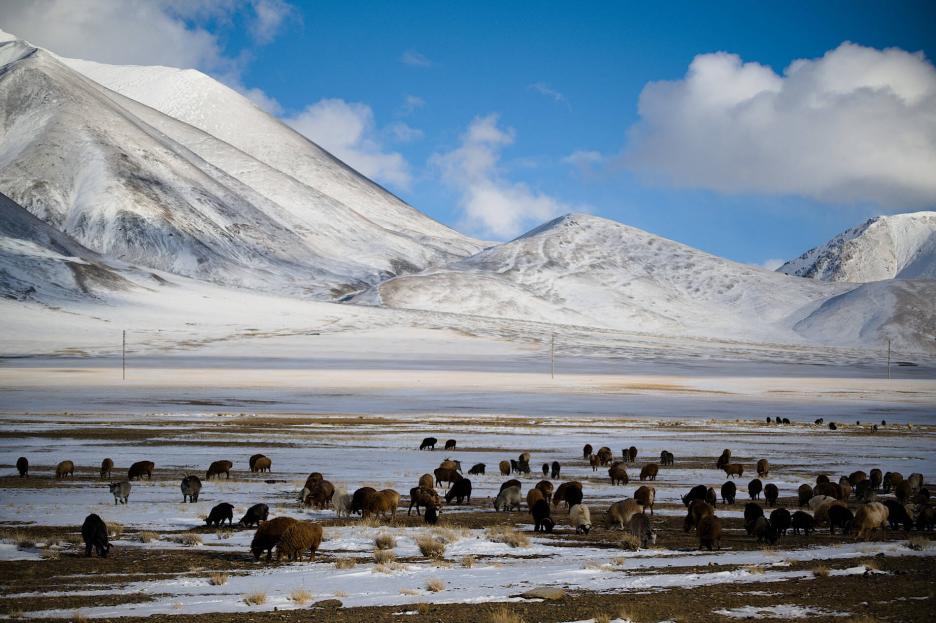 фото img_69b9087045ddd.jpg