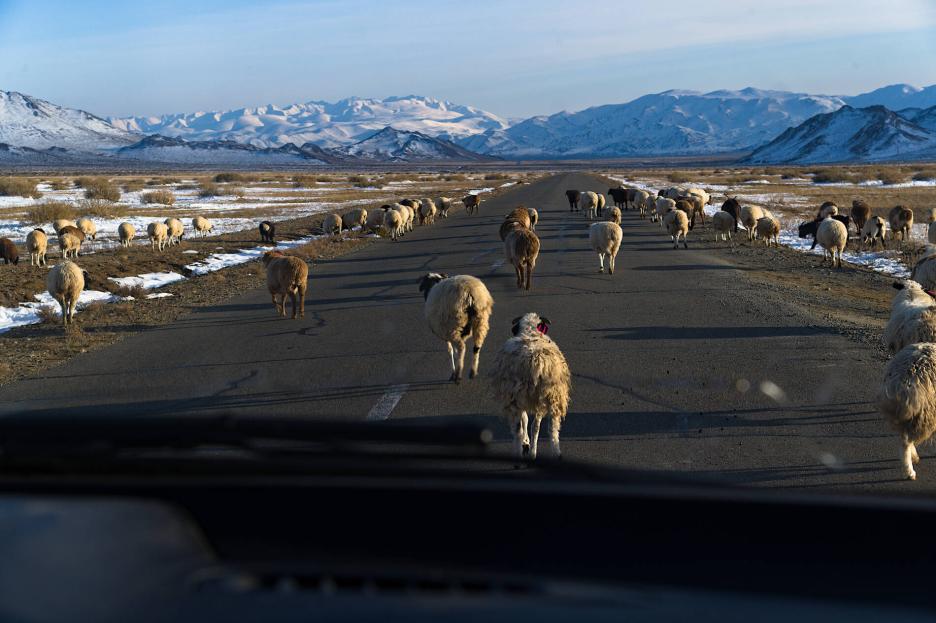 фото img_69b90873329c5.jpg