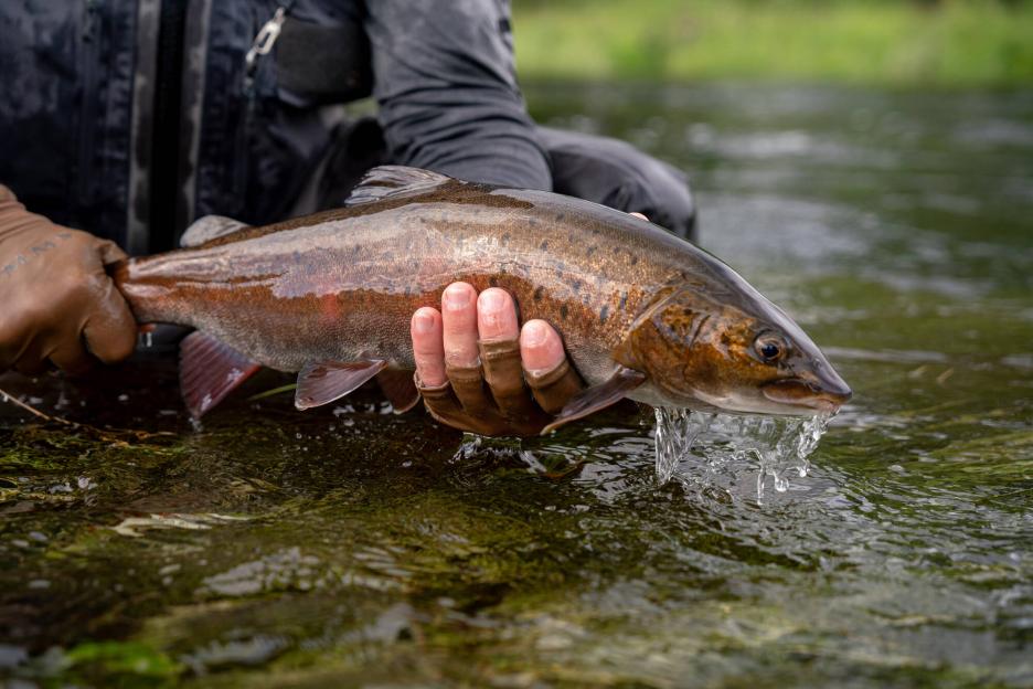 фото img_69b95532c091b.jpg