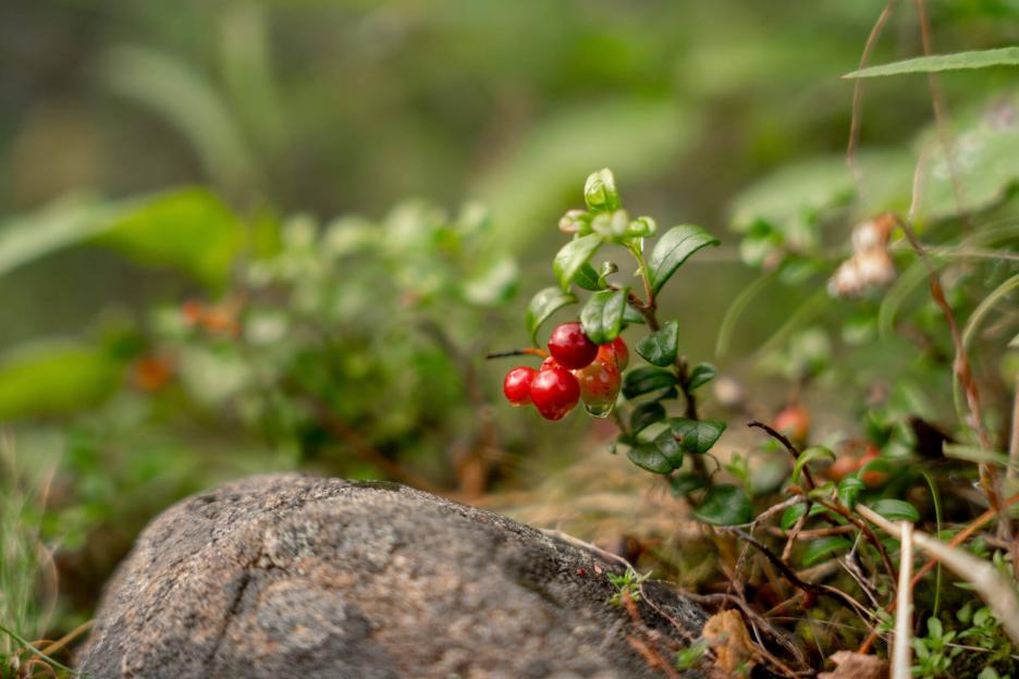 фото img_69b95535968f7.jpg