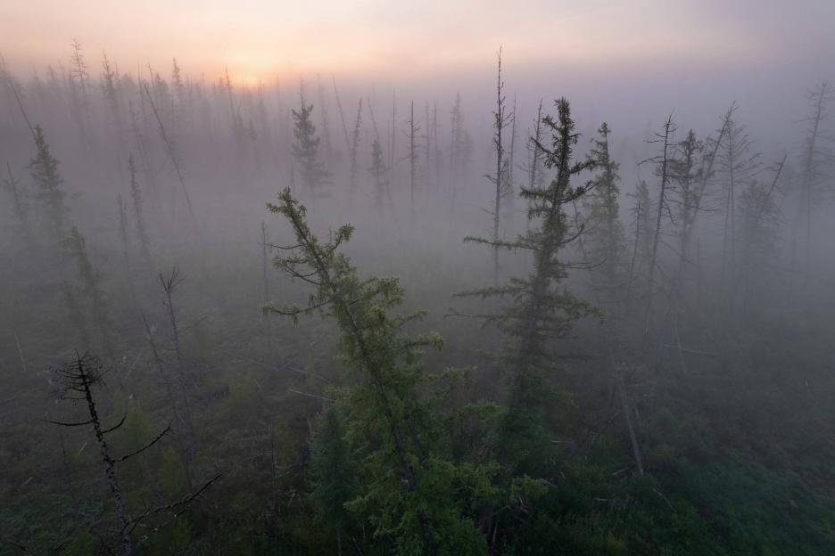 фото img_69b9553b79f71.jpg