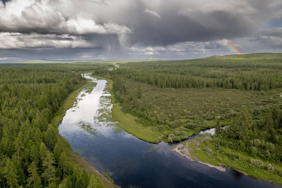 фото img_69b9553ce69fd.jpg