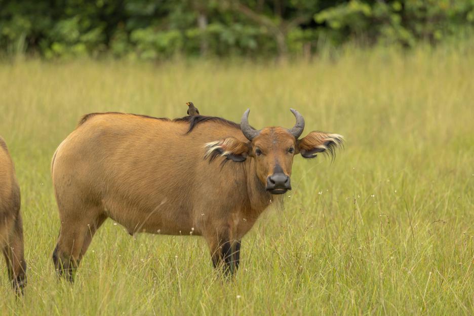 фото img_69b97b2b24621.jpg