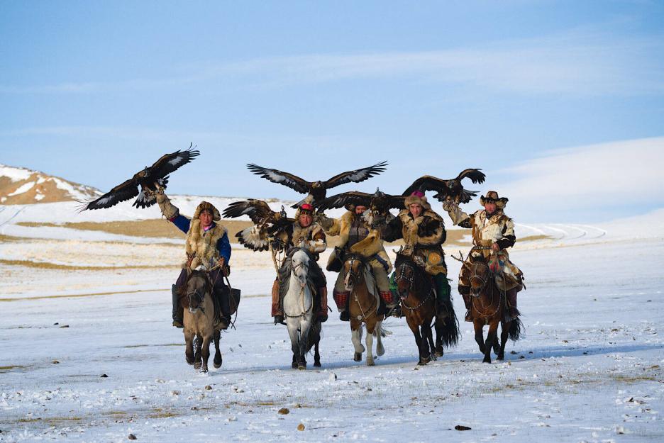 фото img_69ba4ed9d107a.jpg