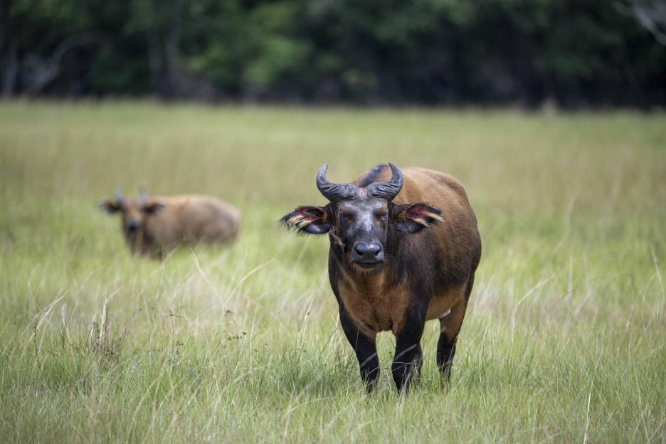 фото img_69ba7ed87463e.jpg