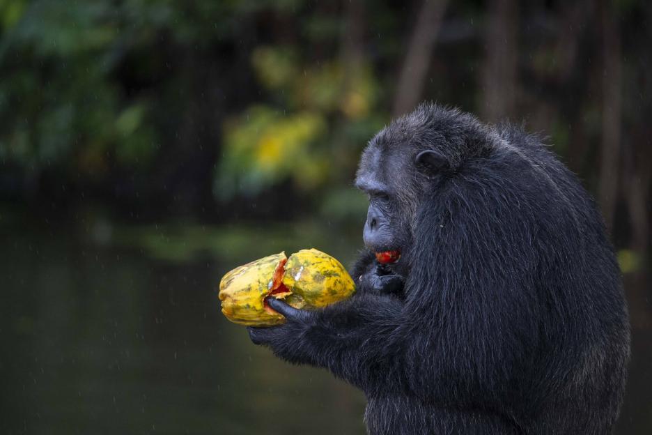 фото img_69ba7f9ceb2d4.jpg