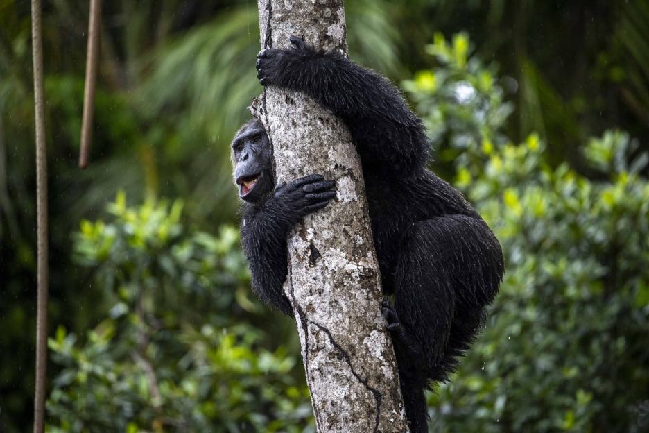 фото img_69ba871803b5d.jpg