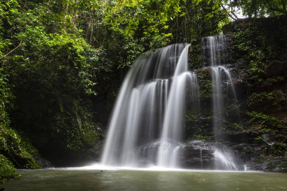 фото img_69ba88c287789.jpg