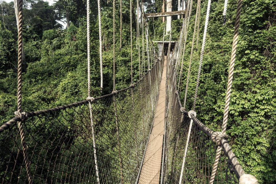 фото img_69ba88c7846c9.jpg