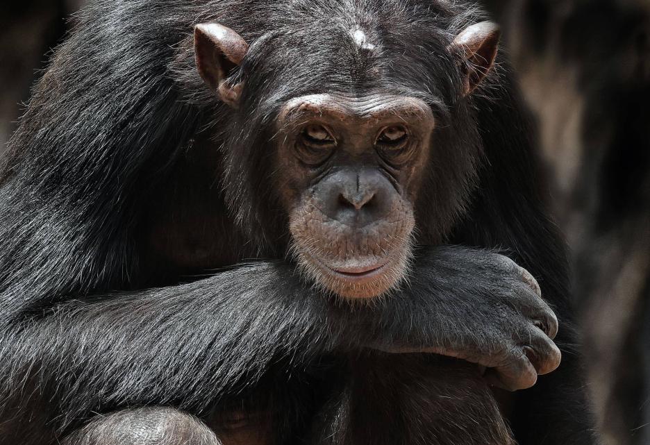 фото img_69ba9806e7b00.jpg