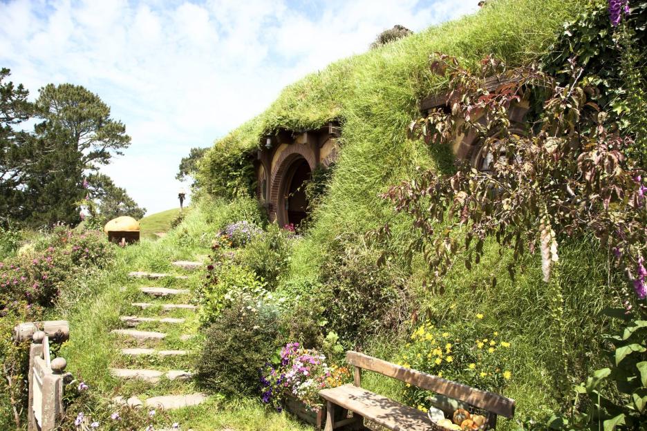 фото img_69bbb8a2c0c90.jpg