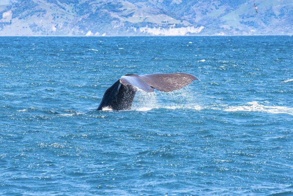 фото img_69bbb8a49e86d.jpg