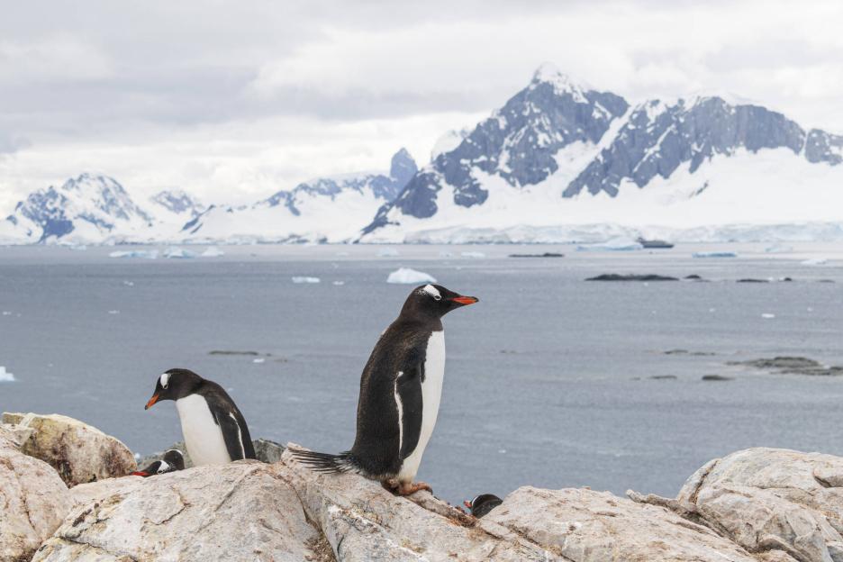 фото img_69bc21342ffbd.jpg