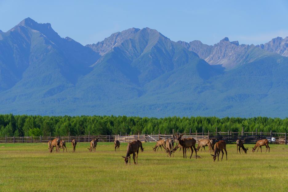 фото img_69bcfeff7b8c2.jpg