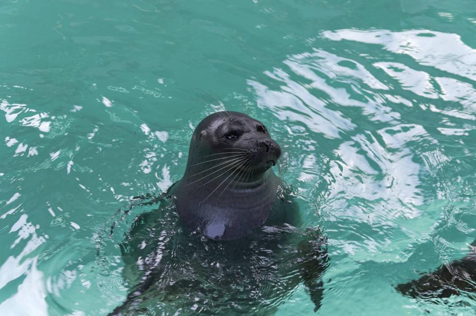 фото img_69bcff0d3278c.jpg