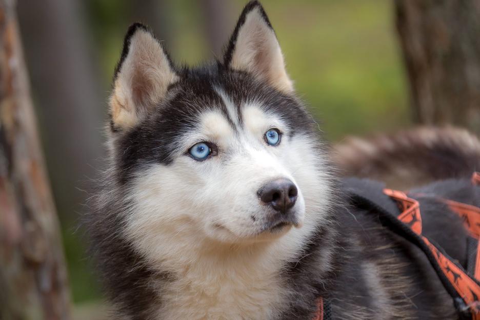 фото img_69c231b5c193e.jpg