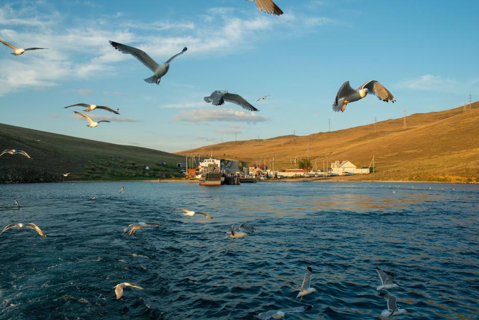 фото img_69c3d0e01767b.jpg