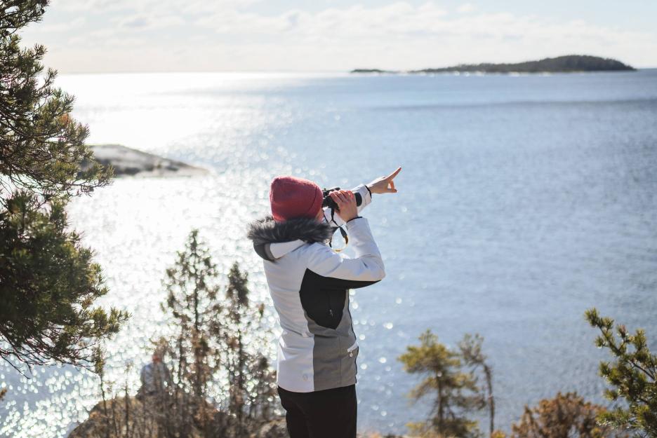 фото img_69c67d683399e.jpg