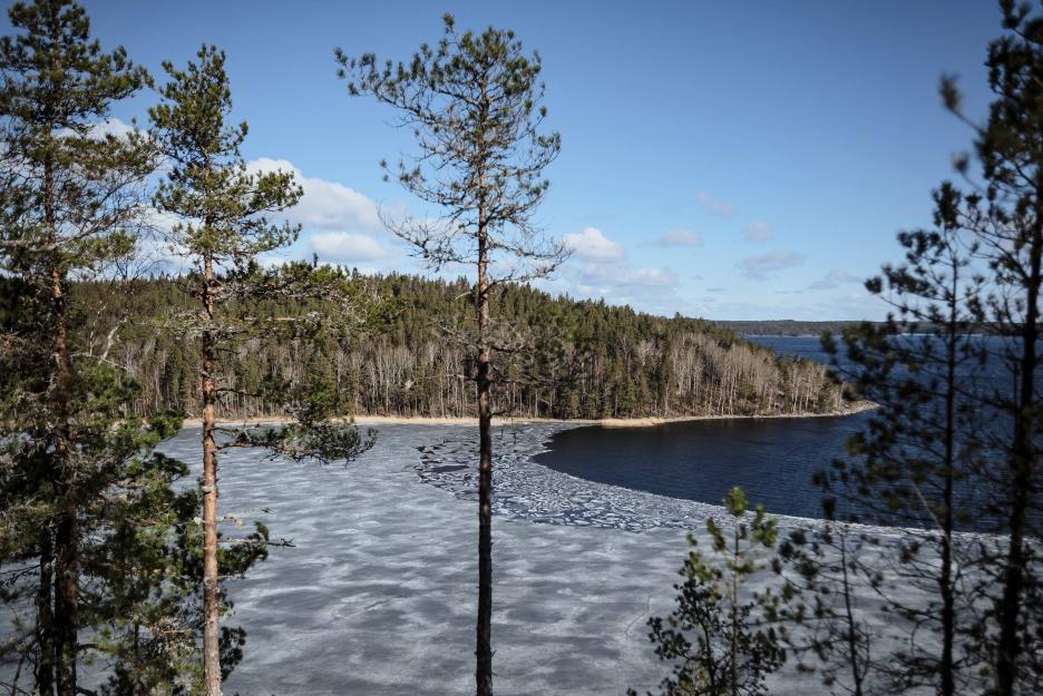 фото img_69c67d6a2e62d.jpg