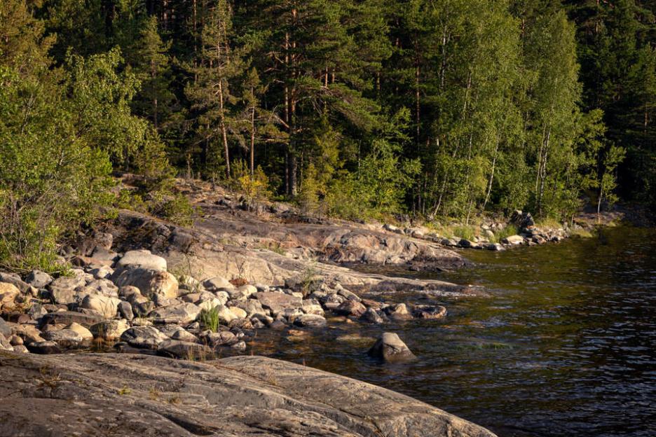 фото img_69cb76701b252.jpg