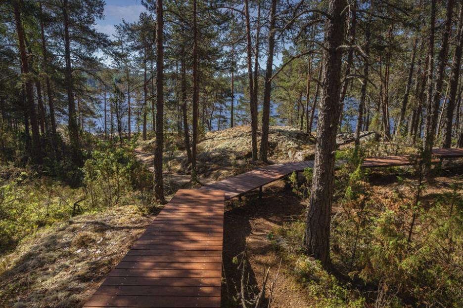 фото img_69cb7673cd12d.jpg