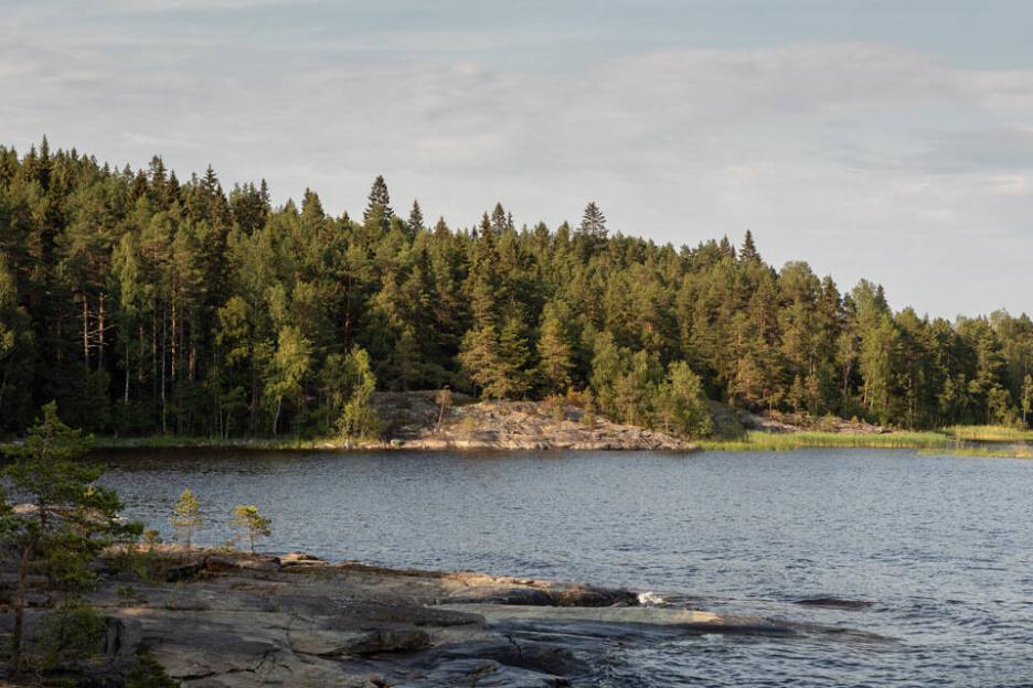 фото img_69cb76763bfa6.jpg