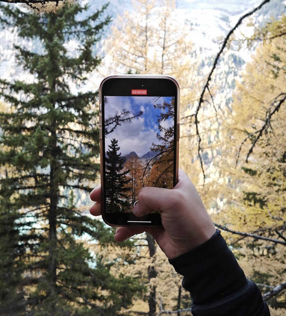 фото img_69cbaa4d4f17b.jpg