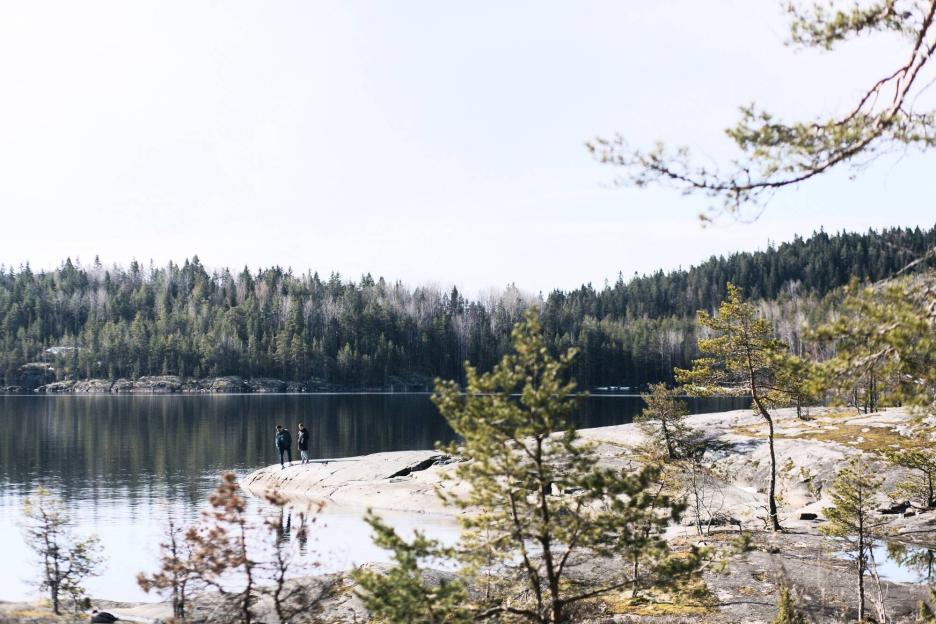 фото img_69ce1ee58c223.jpg