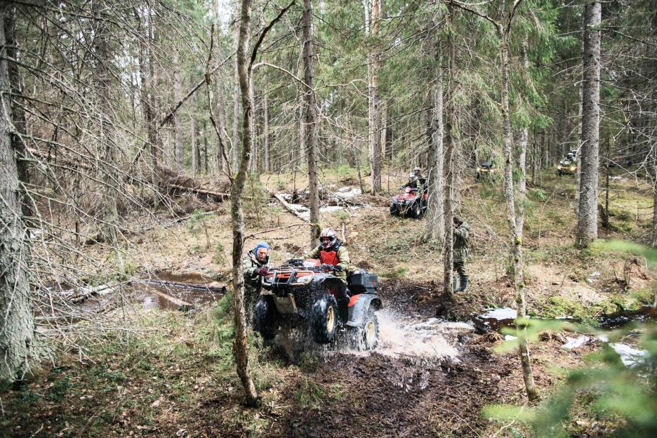 фото img_69ce1ee7238e9.jpg