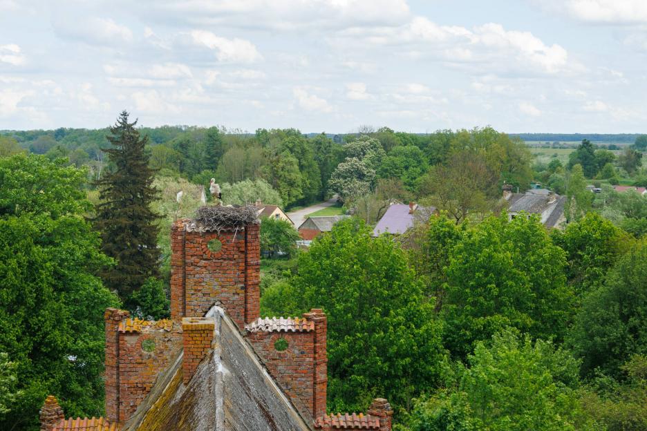 фото img_69cf8ef5caf7d.jpg