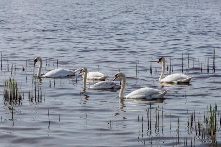 фото img_69cf8f0db933e.jpg