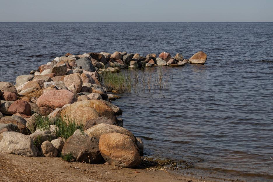 фото img_69cf8f11e63c5.jpg